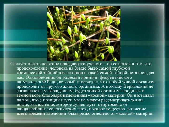 Следует отдать должное правдивости ученого – он сознался в том, что