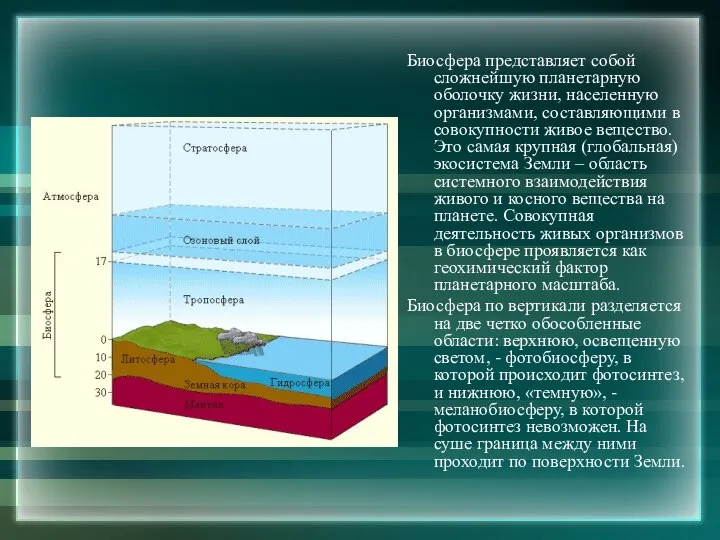 Биосфера представляет собой сложнейшую планетарную оболочку жизни, населенную организмами, составляющими в