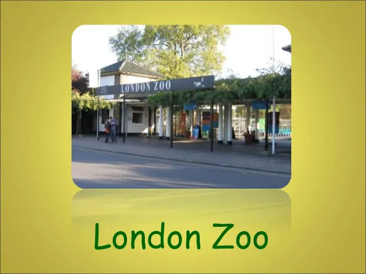 London Zoo