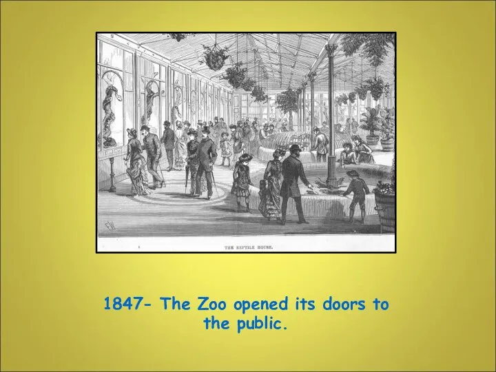 1847- The Zoo opened its doors to the public.