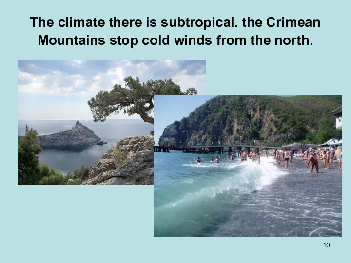 The climate there is subtropical. the Crimean Mountains stop cold winds from the north.