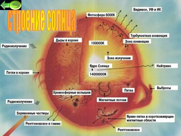 строение солнца