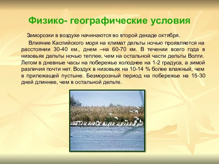 Физико- географические условия Заморозки в воздухе начинаются во второй декаде октября.