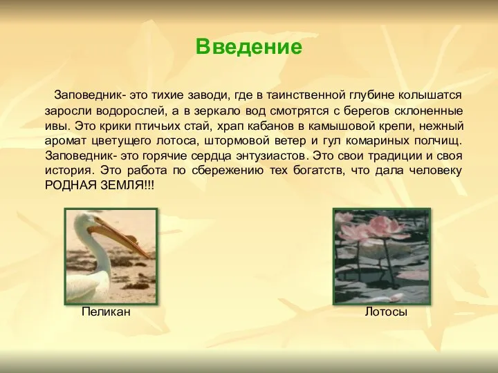 Введение Заповедник- это тихие заводи, где в таинственной глубине колышатся заросли