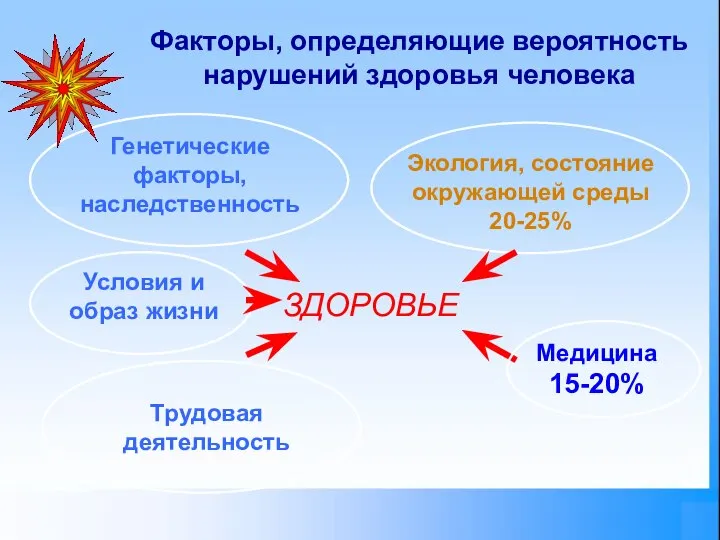 ЗДОРОВЬЕ Генетические факторы, наследственность Экология, состояние окружающей среды 20-25% Трудовая деятельность