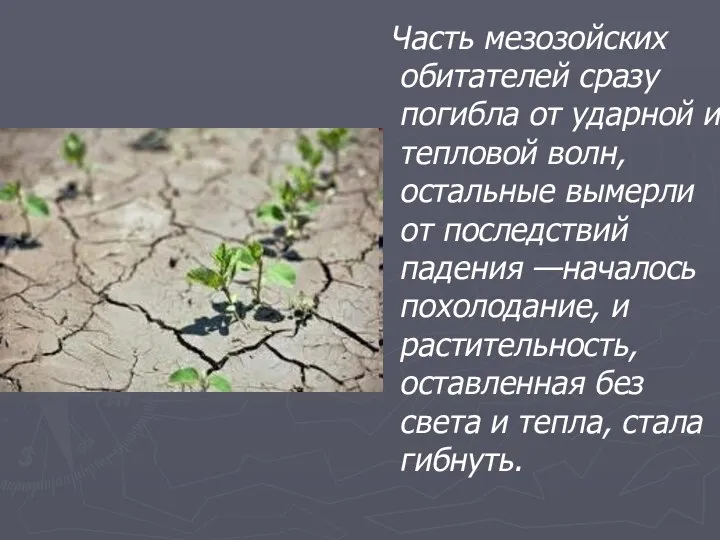 Часть мезозойских обитателей сразу погибла от ударной и тепловой волн, остальные