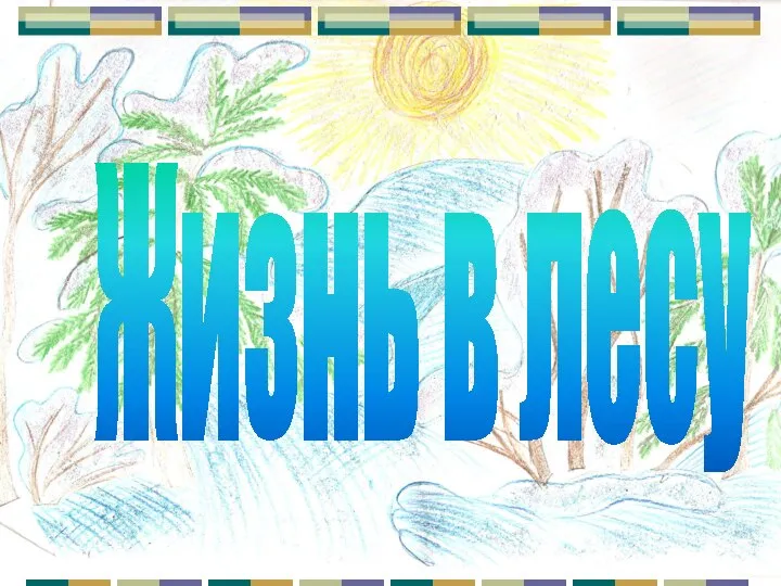 Жизнь в лесу