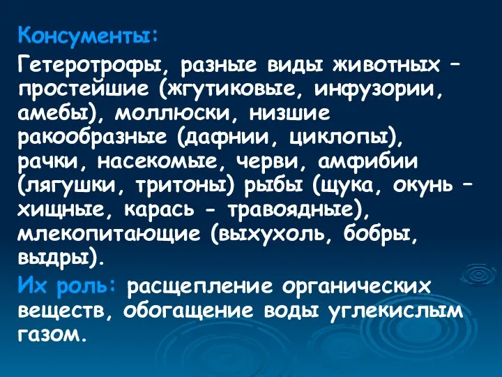 Консументы: Гетеротрофы, разные виды животных – простейшие (жгутиковые, инфузории, амебы), моллюски,