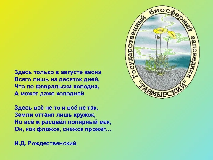 Здесь только в августе весна Всего лишь на десяток дней, Что