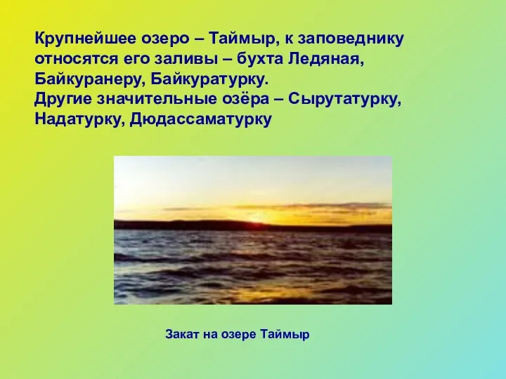 Крупнейшее озеро – Таймыр, к заповеднику относятся его заливы – бухта