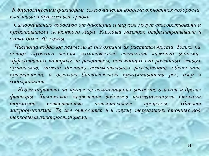 К биологическим факторам самоочищения водоема относятся водоросли, плесневые и дрожжевые грибки.