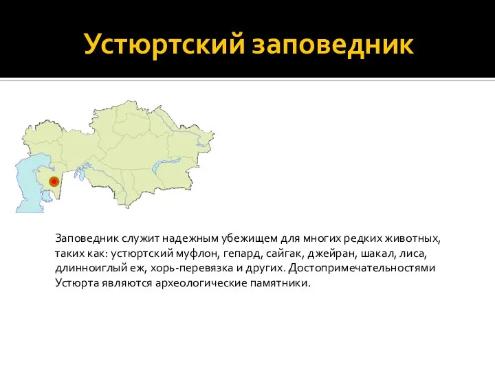 Устюртский заповедник Заповедник служит надежным убежищем для многих редких животных, таких