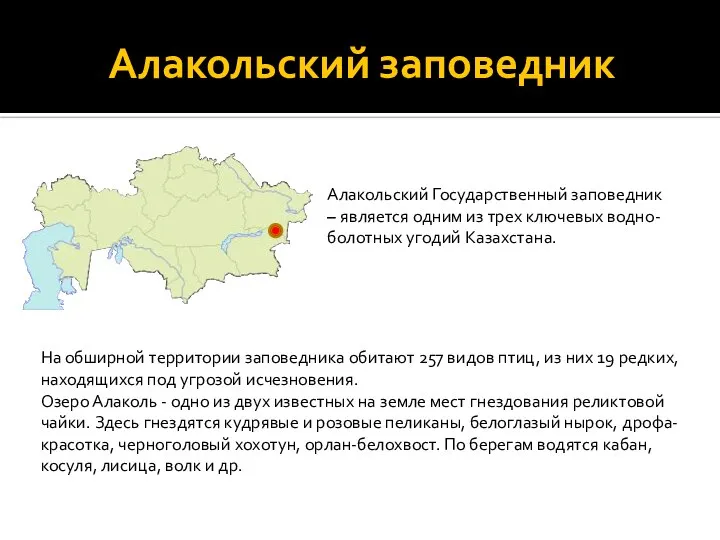 Алакольский заповедник Алакольский Государственный заповедник – является одним из трех ключевых