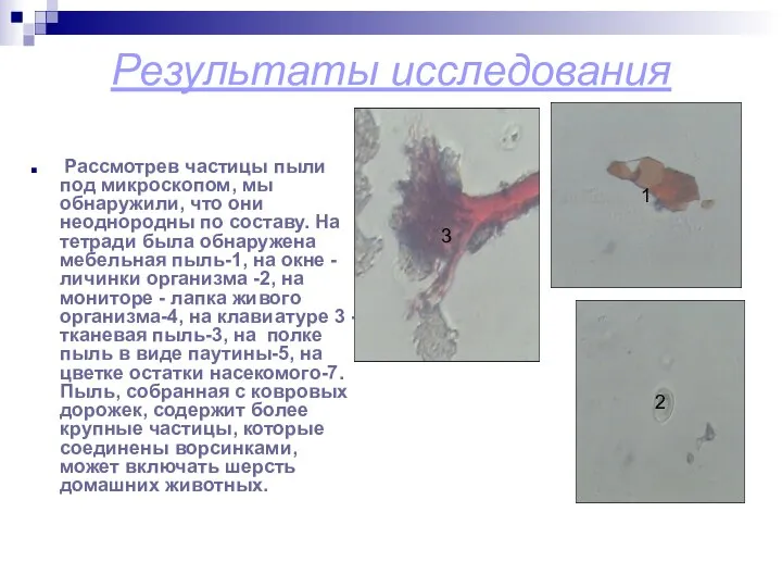 Результаты исследования Рассмотрев частицы пыли под микроскопом, мы обнаружили, что они