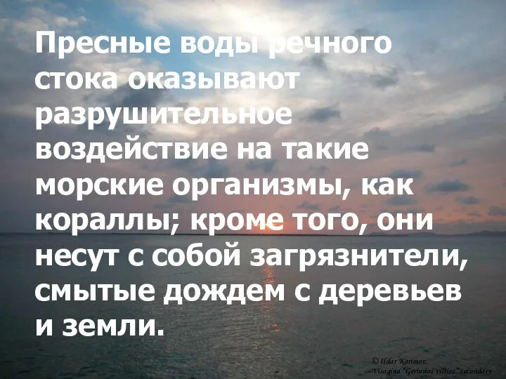 Пресные воды речного стока оказывают разрушительное воздействие на такие морские организмы,