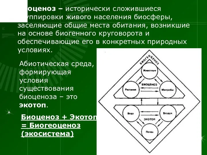 Биоценоз – исторически сложившиеся группировки живого населения биосферы, заселяющие общие места