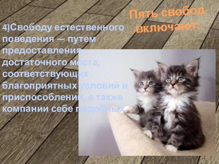 Пять свобод включают: 4)Свободу естественного поведения — путем предоставления достаточного места,