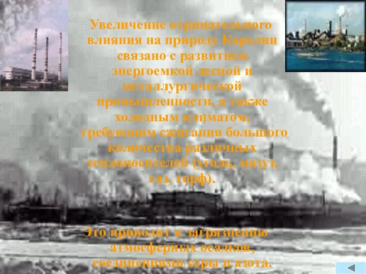 Увеличение отрицательного влияния на природу Карелии связано с развитием энергоемкой лесной