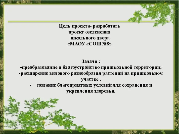 Цель проекта- разработать проект озеленения школьного двора «МАОУ «СОШ№8» Задачи :