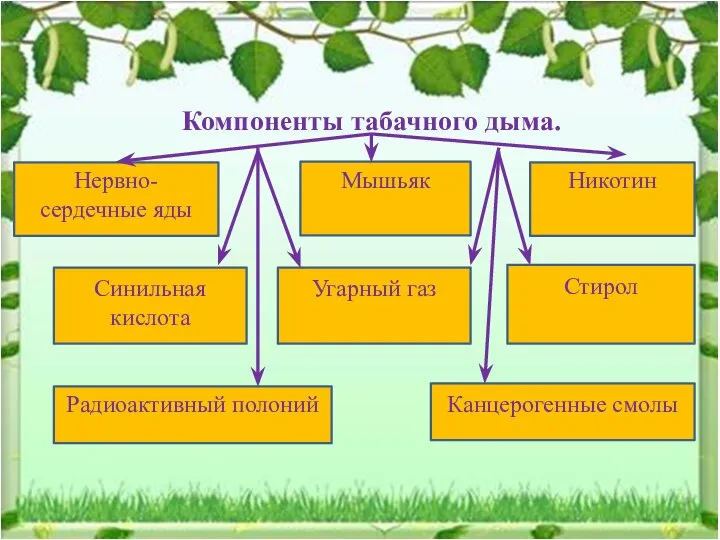 Компоненты табачного дыма. Нервно-сердечные яды Мышьяк Никотин Синильная кислота Угарный газ Стирол Радиоактивный полоний Канцерогенные смолы