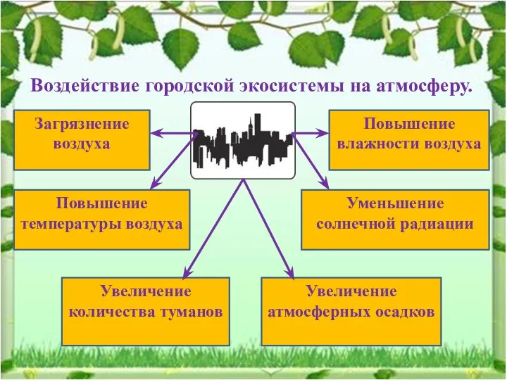 Воздействие городской экосистемы на атмосферу. Загрязнение воздуха Повышение влажности воздуха Повышение