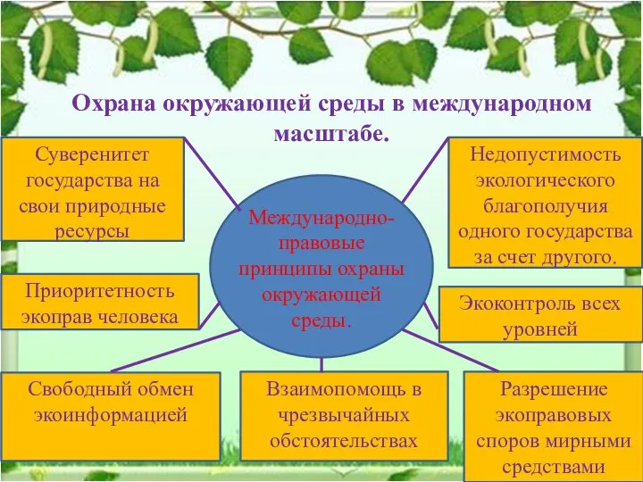 Охрана окружающей среды в международном масштабе. Международно- правовые принципы охраны окружающей