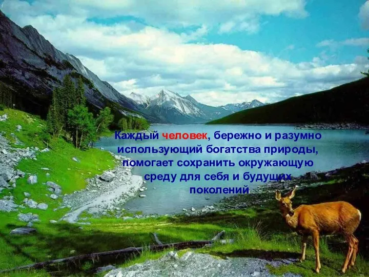 Каждый человек, бережно и разумно использующий богатства природы, помогает сохранить окружающую