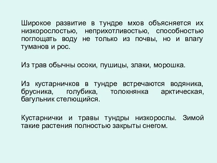 Широкое развитие в тундре мхов объясняется их низкорослостью, неприхотливостью, способностью поглощать