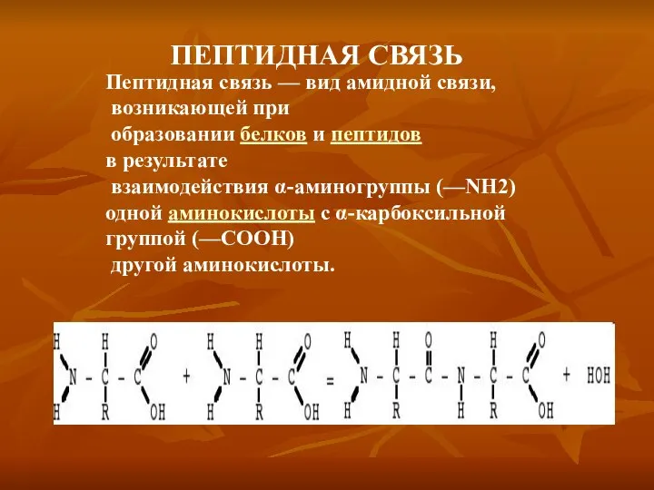 ПЕПТИДНАЯ СВЯЗЬ Пептидная связь — вид амидной связи, возникающей при образовании