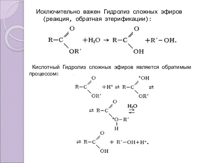 Исключительно важен Гидролиз сложных эфиров (реакция, обратная этерификации): Кислотный Гидролиз сложных эфиров является обратимым процессом: