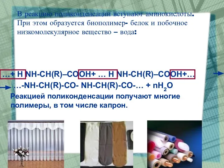 В реакцию поликонденсации вступают аминокислоты. При этом образуется биополимер- белок и