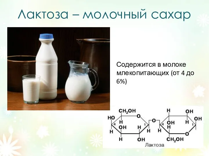 Лактоза – молочный сахар Содержится в молоке млекопитающих (от 4 до 6%)