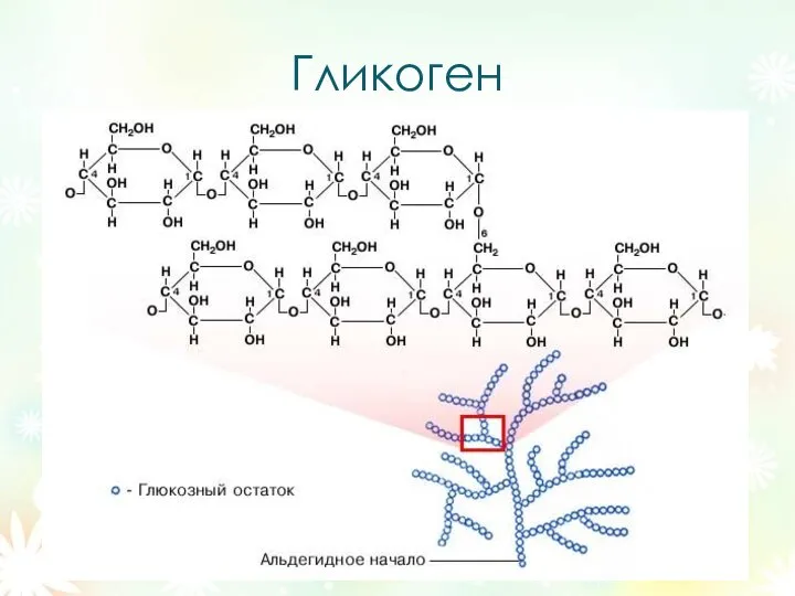 Гликоген