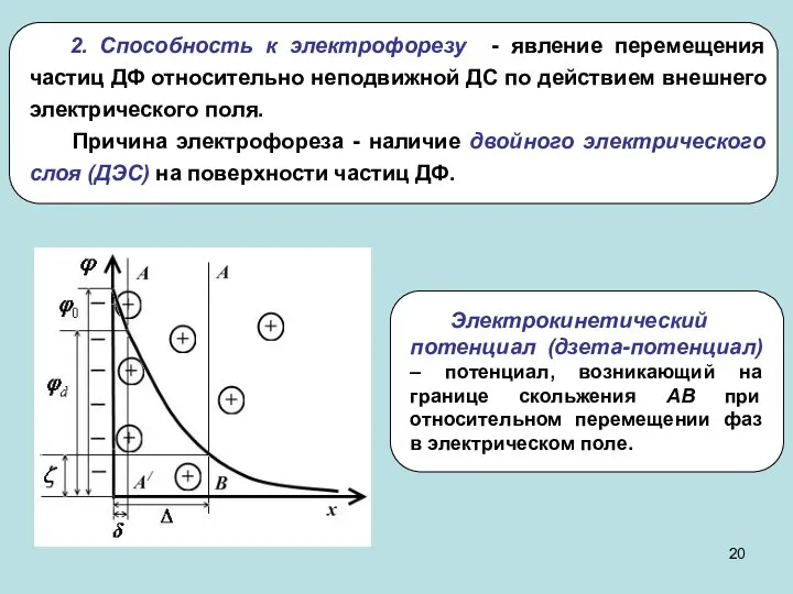 2. Способность к электрофорезу - явление перемещения частиц ДФ относительно неподвижной