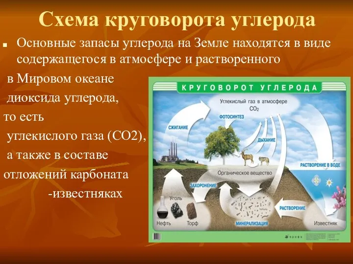 Основные запасы углерода на Земле находятся в виде содержащегося в атмосфере