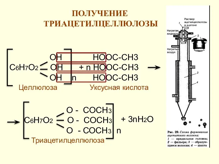 ПОЛУЧЕНИЕ ТРИАЦЕТИЛЦЕЛЛЮЛОЗЫ ОН С6Н7О2 ОН ОН n НООС-СН3 + n НООС-СН3