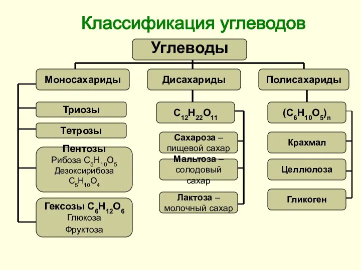 Классификация углеводов Триозы Тетрозы Пентозы Рибоза С5Н10О5 Дезоксирибоза С5Н10О4 Гексозы С6Н12О6