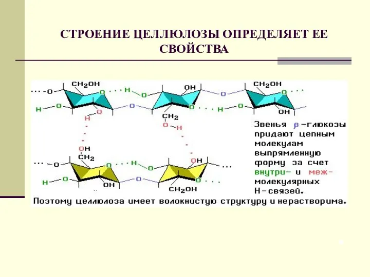 СТРОЕНИЕ ЦЕЛЛЮЛОЗЫ ОПРЕДЕЛЯЕТ ЕЕ СВОЙСТВА