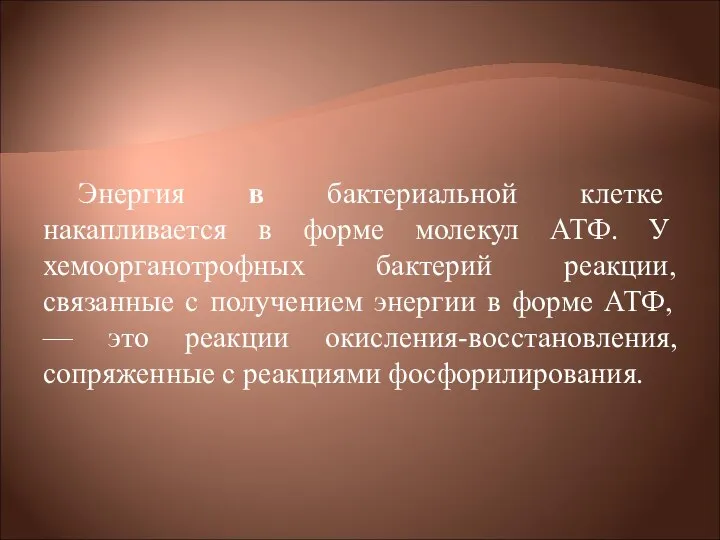 Энергия в бактериальной клетке накапливается в форме молекул АТФ. У хемоорганотрофных