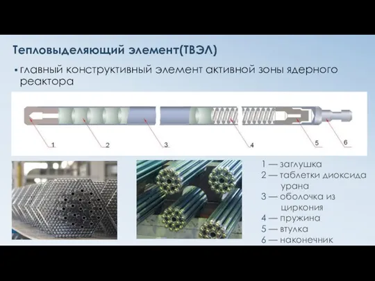 Тепловыделяющий элемент(ТВЭЛ) главный конструктивный элемент активной зоны ядерного реактора 1 —