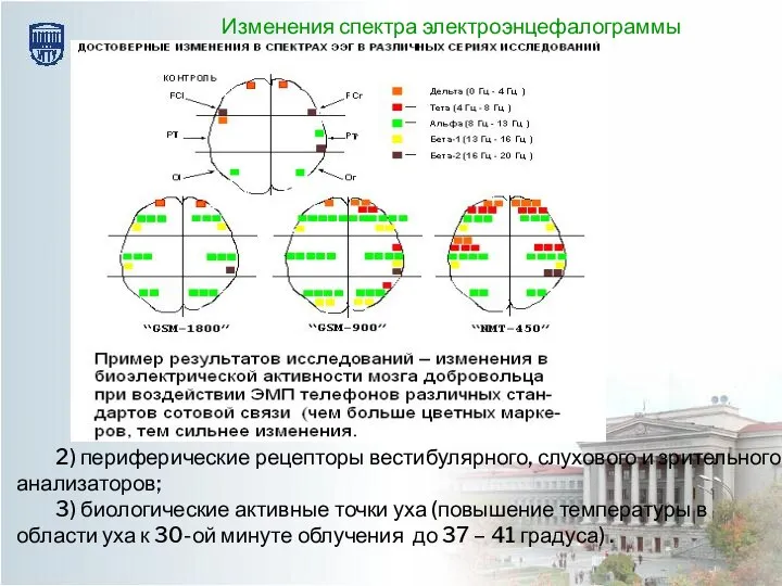 2) периферические рецепторы вестибулярного, слухового и зрительного анализаторов; 3) биологические активные