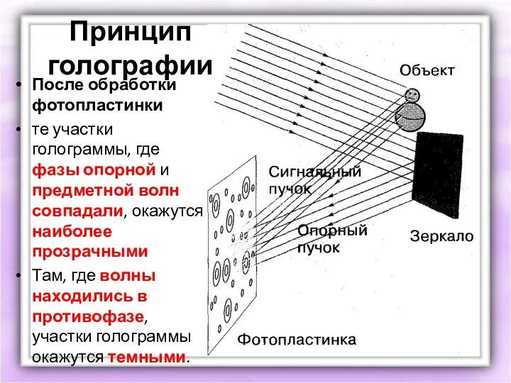 Принцип голографии После обработки фотопластинки те участки голограммы, где фазы опорной