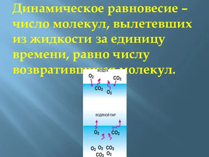 Динамическое равновесие – число молекул, вылетевших из жидкости за единицу времени, равно числу возвратившихся молекул.