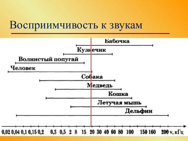 Восприимчивость к звукам