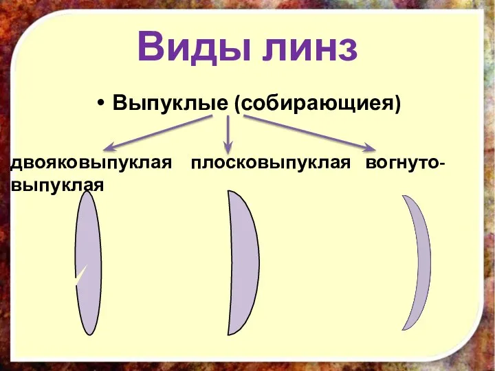 Виды линз Выпуклые (собирающиея) двояковыпуклая плосковыпуклая вогнуто-выпуклая