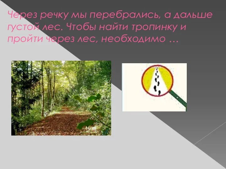 Через речку мы перебрались, а дальше густой лес. Чтобы найти тропинку