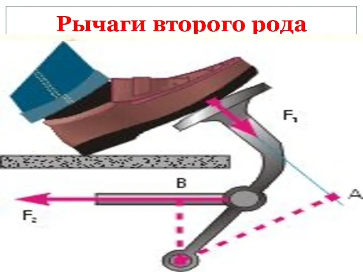 Рычаги второго рода