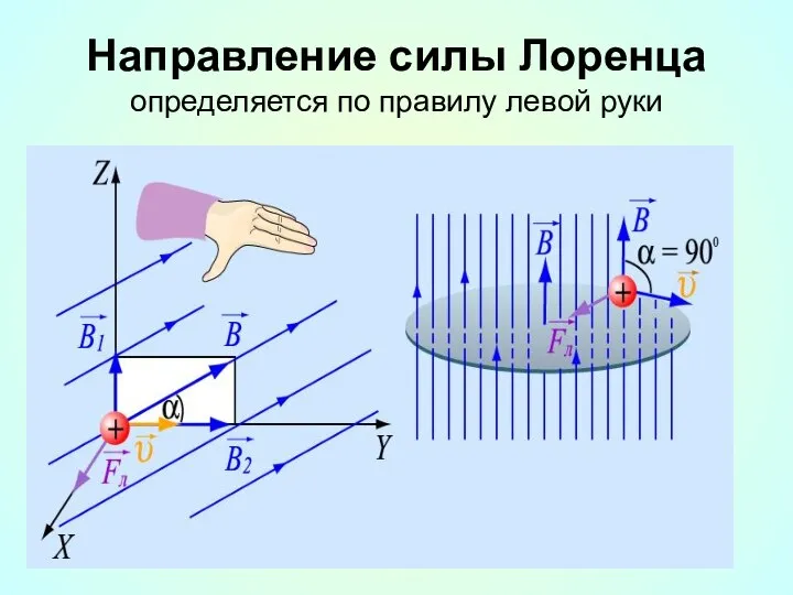 Направление силы Лоренца определяется по правилу левой руки