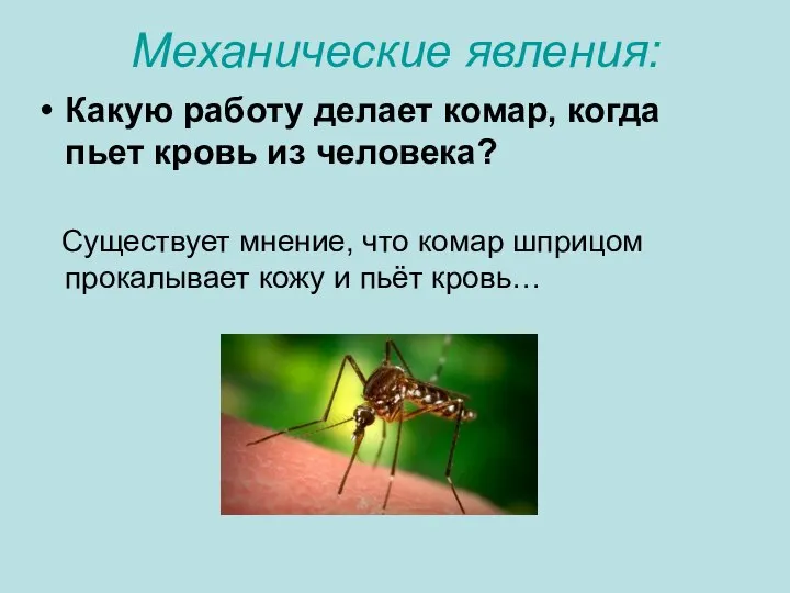 Механические явления: Какую работу делает комар, когда пьет кровь из человека?