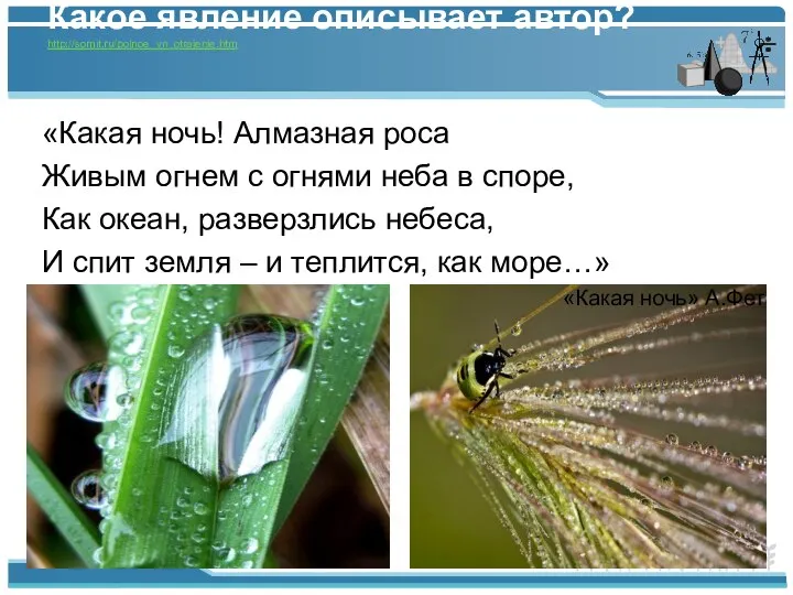 Какое явление описывает автор? http://somit.ru/polnoe_vn_otrajenie.htm «Какая ночь! Алмазная роса Живым огнем